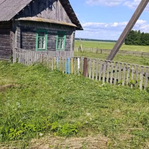 Участок с домиком в живописном месте. д.Русское село, Нарочанский с/с